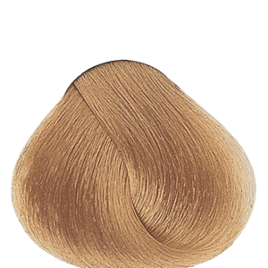 APM_Evolution_10.3_PF005986