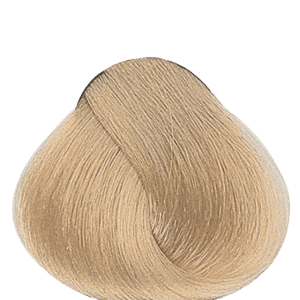 APM_Evolution_11.00_PF011229