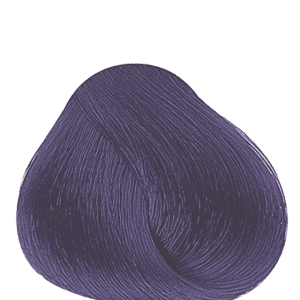APM_Evolution_2000_PF008007