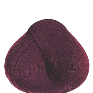 APM_Evolution_5.62_PF012972