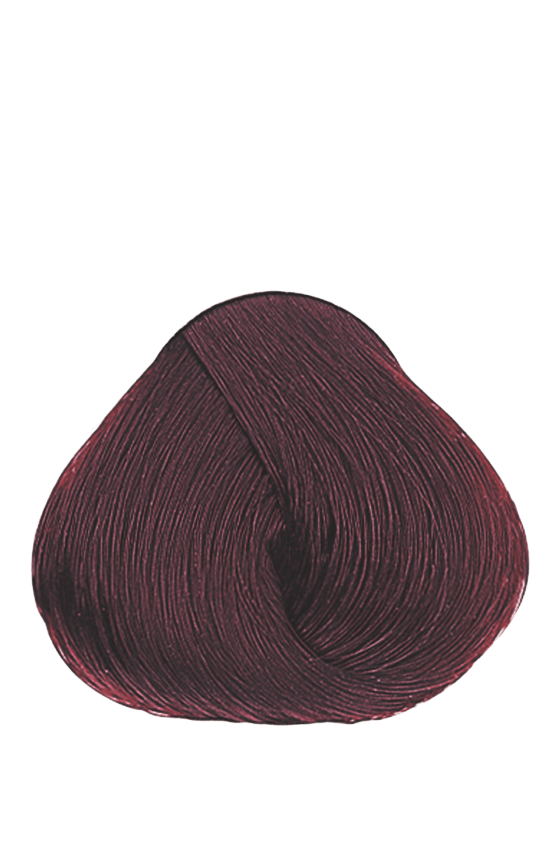 APM_Evolution_5.65_PF005971