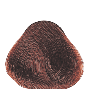 APM_Evolution_6.4_PF005984