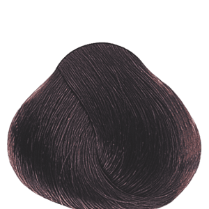 APM_Evolution_6.53_PF005952