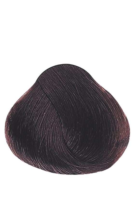 APM_Evolution_6.53_PF005952