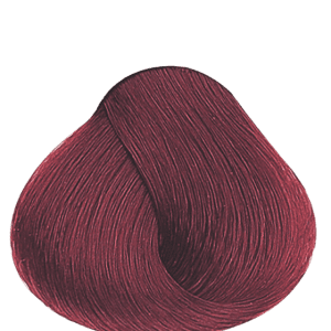 APM_Evolution_6.66I_PF005978