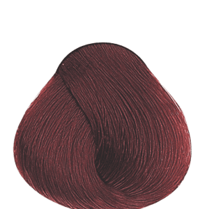 APM_Evolution_6.6_PF005975