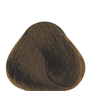 APM_Evolution_6.7_PF005970