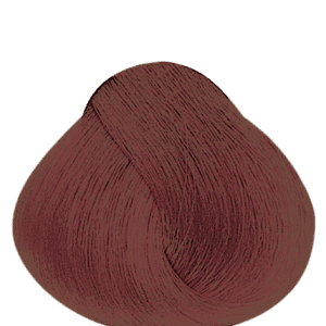 APM_Evolution_6MRB_PF018558