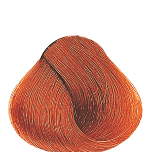 APM_Evolution_7.34_PF009688