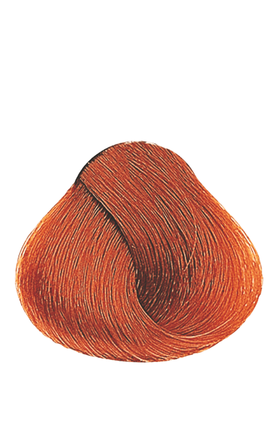 APM_Evolution_7.34_PF009688