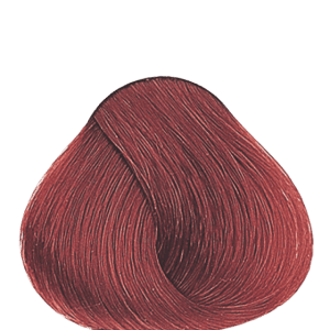 APM_Evolution_7.66I_PF005977