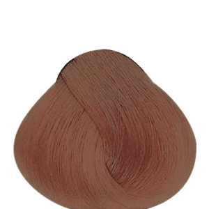 APM_Evolution_7MRB_PF018559