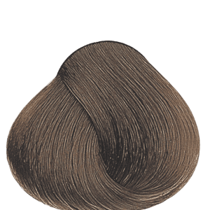 APM_Evolution_7_PF005771