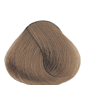APM_Evolution_8.13_PF005993
