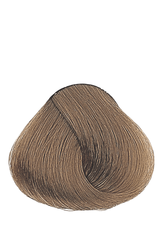 APM_Evolution_8.13_PF005993