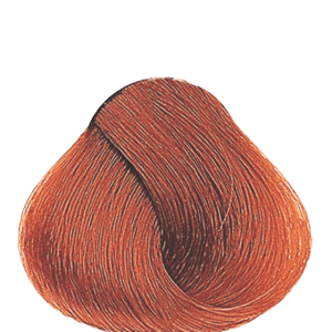APM_Evolution_8.43_PF009689