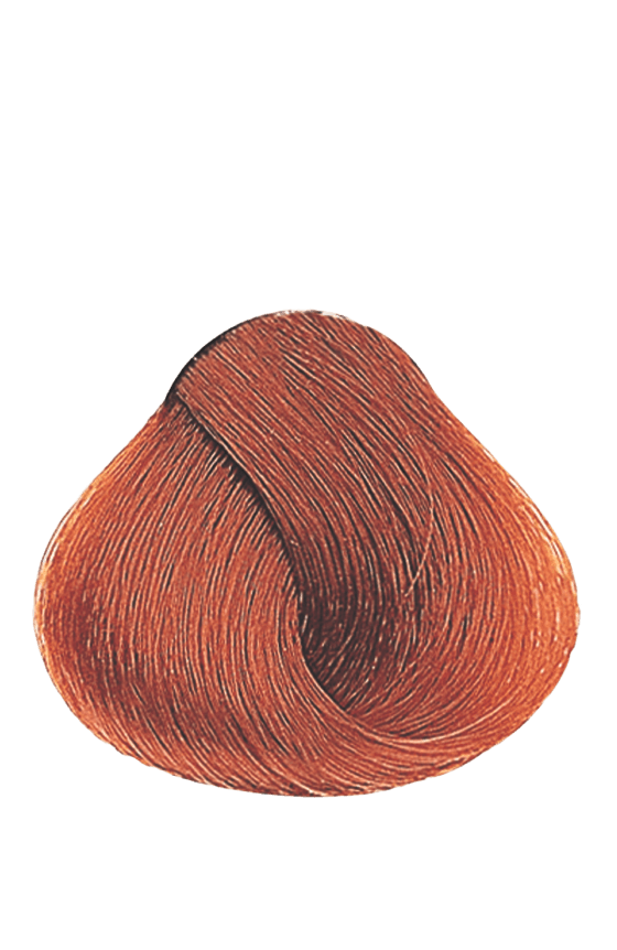 APM_Evolution_8.43_PF009689