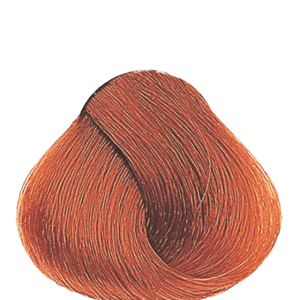 APM_Evolution_8.4_PF005982