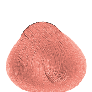 APM_Evolution_8.642_PF019270