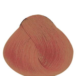 APM_Evolution_8MRB_PF018560