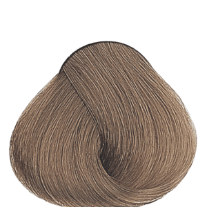 APM_Evolution_8_PF005772