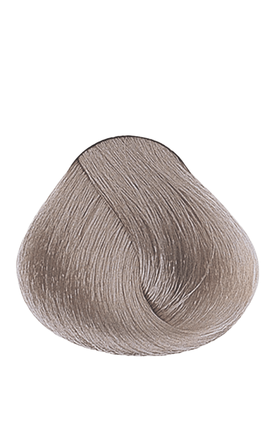 APM_Evolution_9.21_PF005947