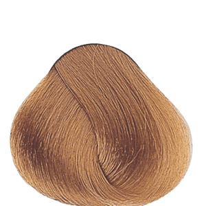 APM_Evolution_9.3_PF005987