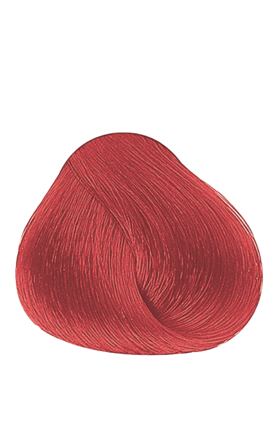 APM_Evolution_RB_PF005981
