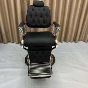 Salon Recliner Hydraulic Barber Chair